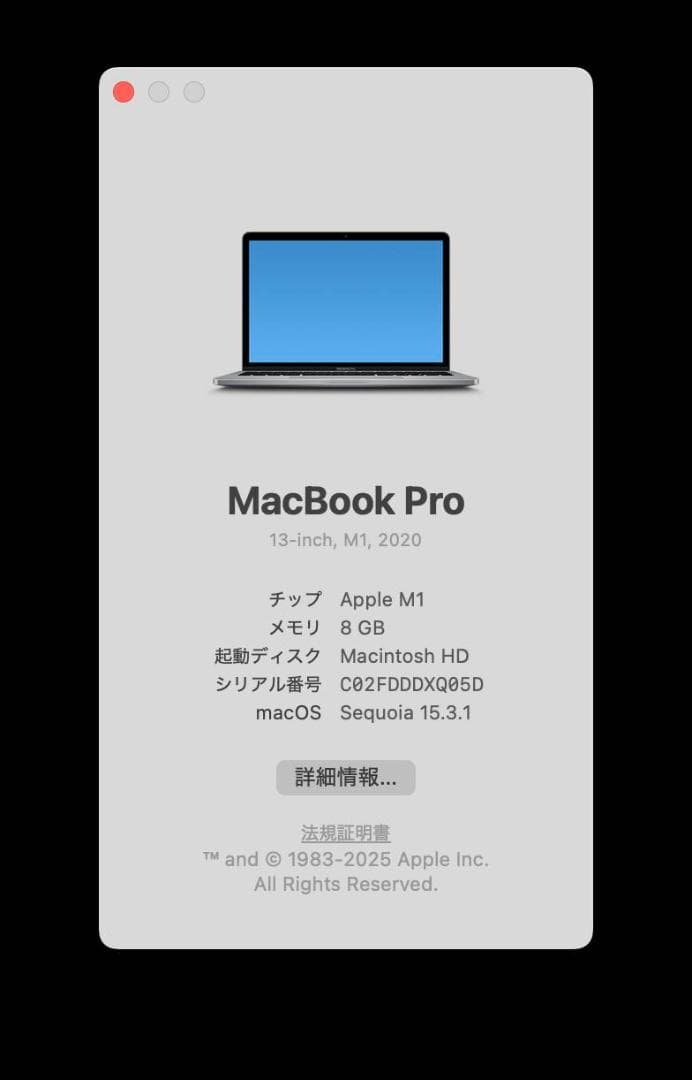 Apple MacBook Pro M1 13インチ 8GB 256GB