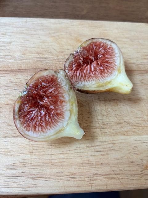 イチジクの剪定枝　 挿し木　接木　穂木