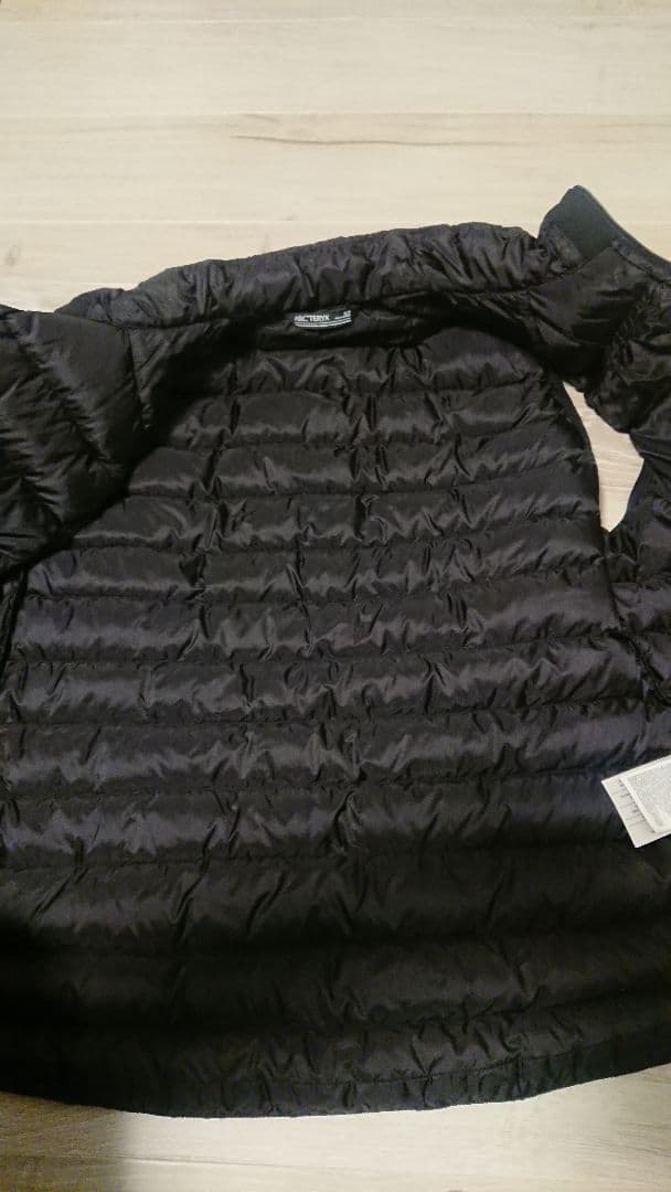 Arc'teryxアークテリクスCerium LT VestセリウムLTベスト