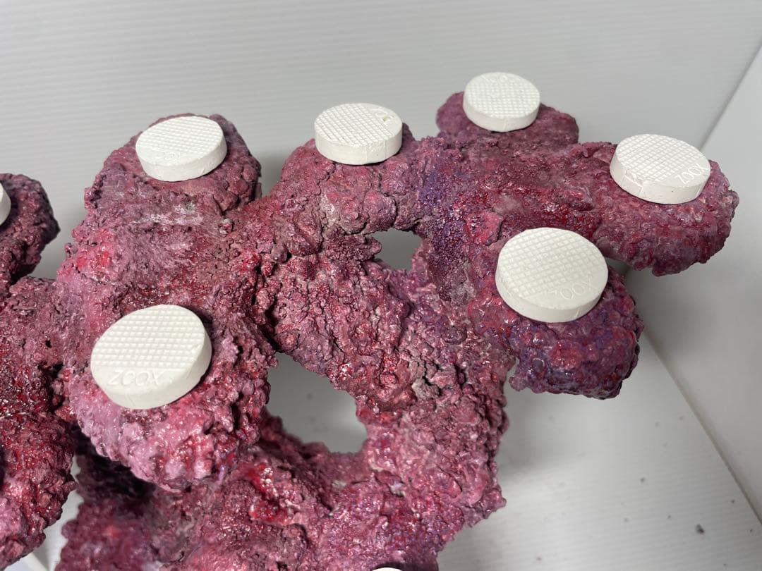 【送料無料】人工ライブロック　PHR28／12穴加工　アク抜き済み安心塗料使用