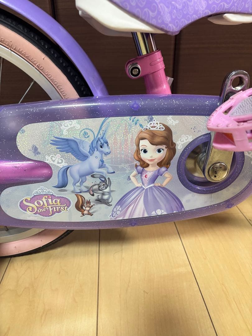プリンセス・ソフィアデザイン16インチ