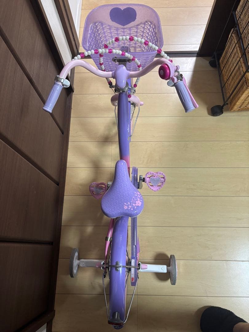 プリンセス・ソフィアデザイン16インチ