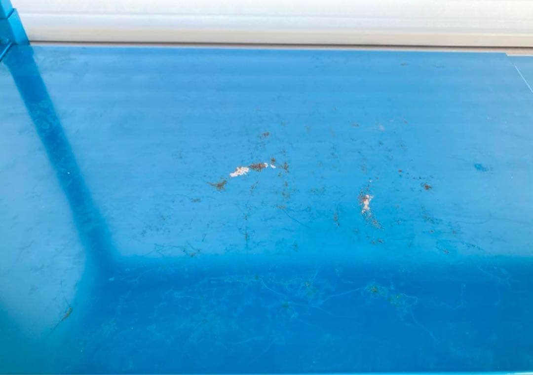 Ventol/ヴェントル ランドリーラック 棚2段ブルー