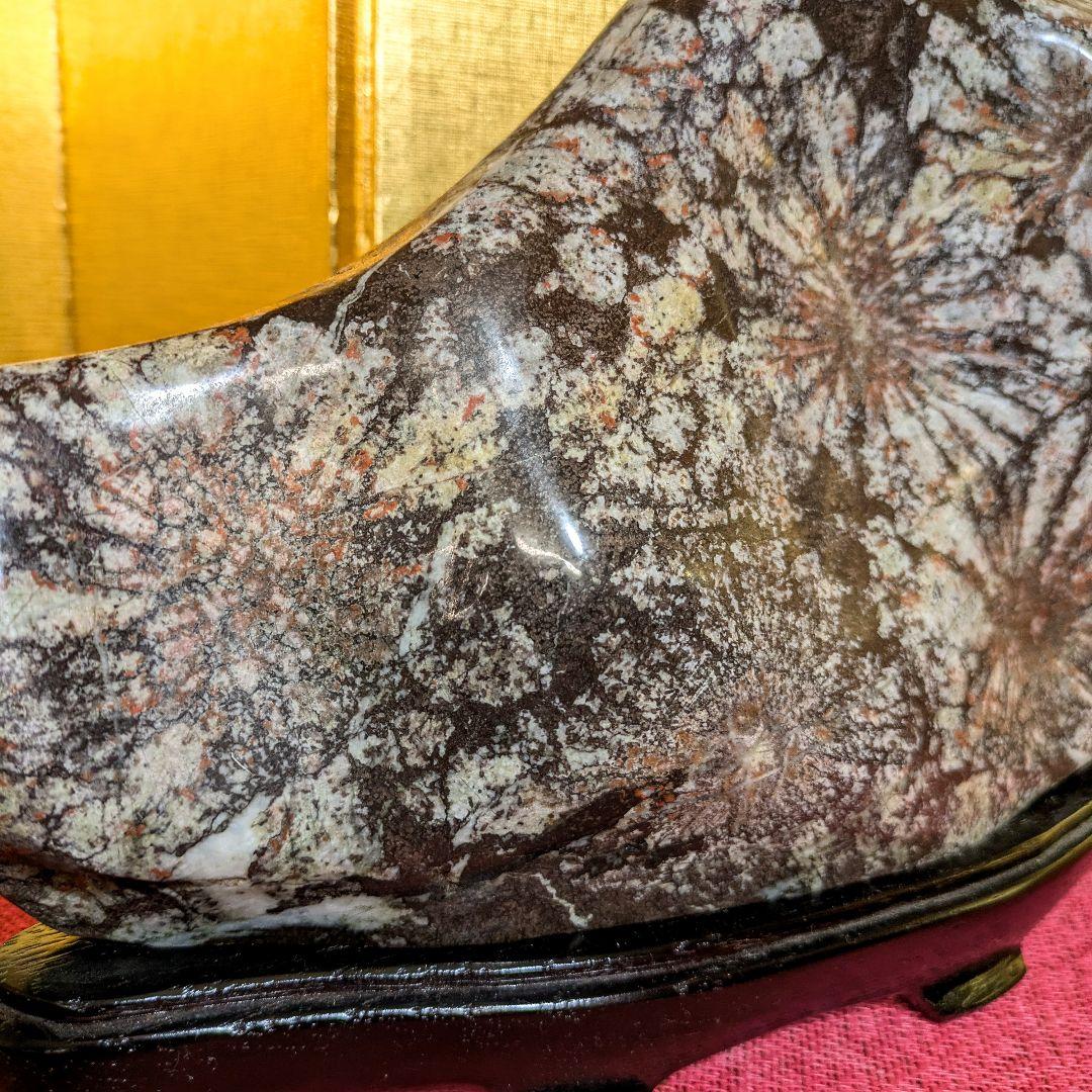 【Gojyo】菊花石 岐阜県根尾谷産5.2㌔ 鑑賞石 観賞石 水石 盆石