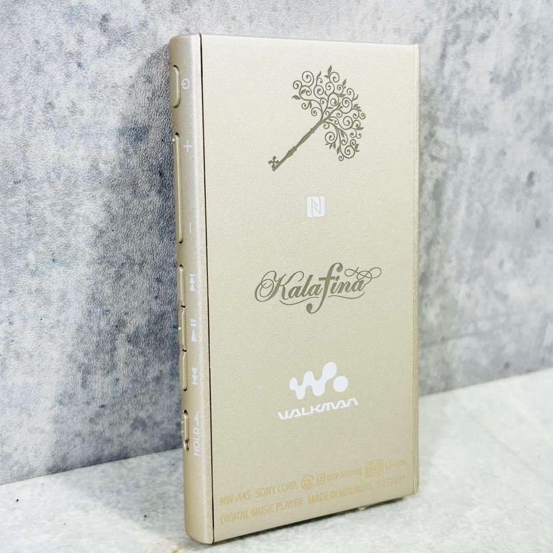 kalafina SONY ウォークマンNW-A45HN 専用クリアケース付き