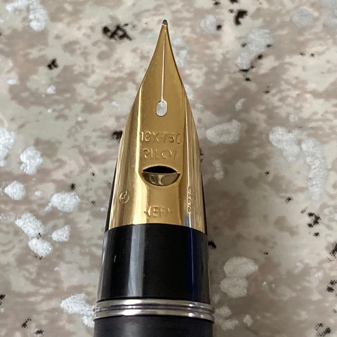 #203 オーバーホール済み 万年筆 PILOT 槌目 22KAGM 18k
