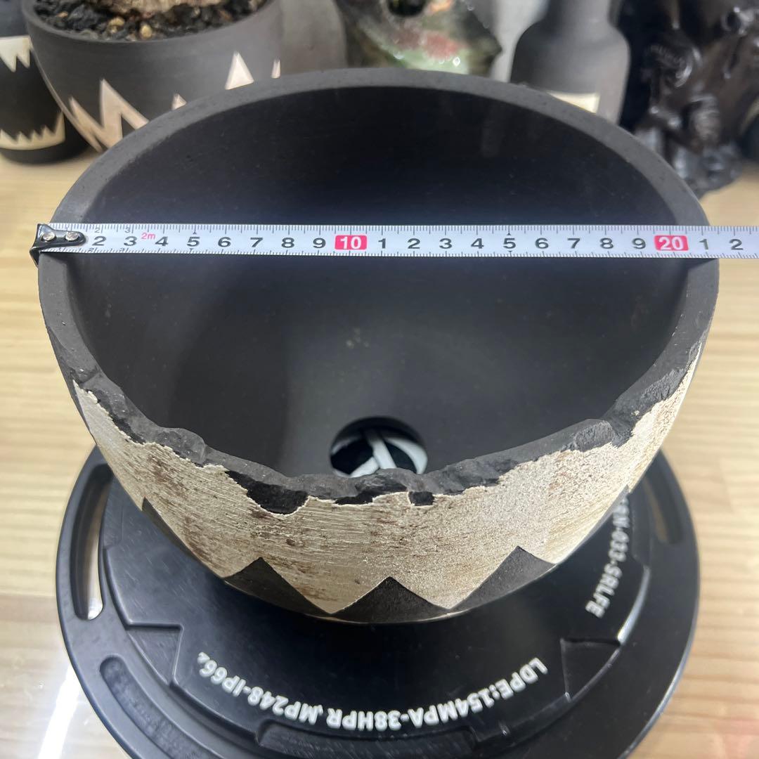 手作植木鉢 LLサイズ 検（ 塊根植物 グラキリス パキプス アガベ)