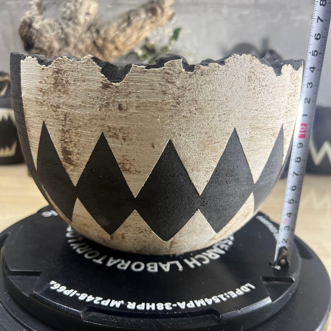 手作植木鉢 LLサイズ 検（ 塊根植物 グラキリス パキプス アガベ)