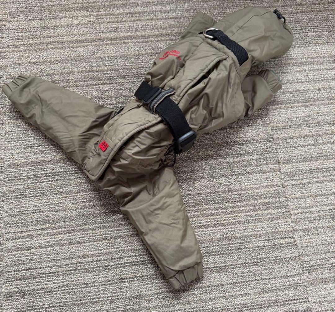 売り切り！早い者勝ち⭐︎インサレートスーツ イタグレ IS ピムリコ