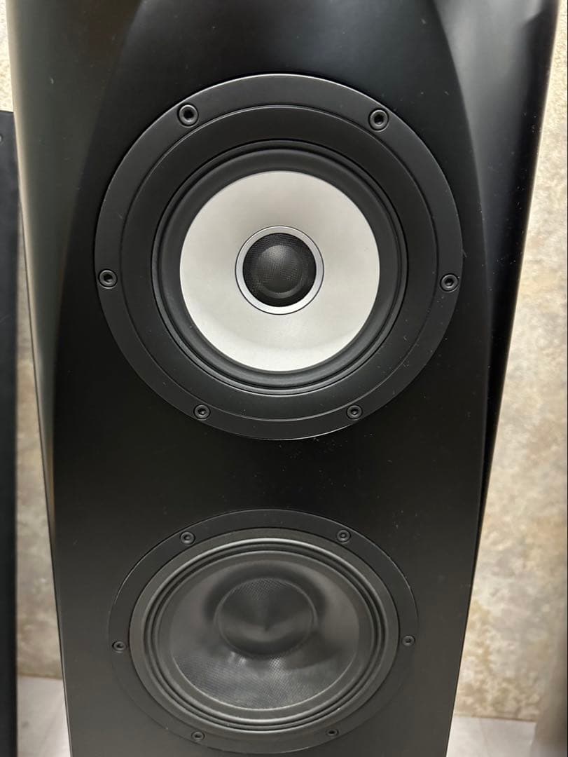 Pioneer S-1EX 1本 000323 TAD/AIR Studios