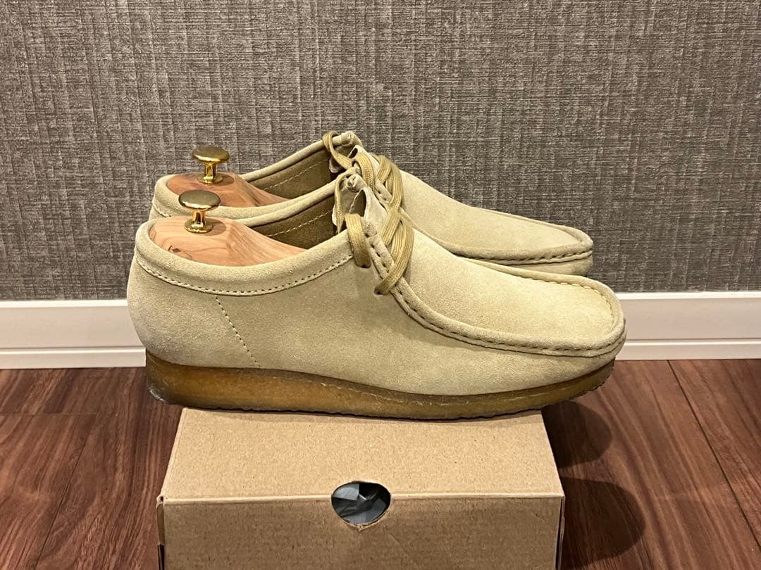 クラークスワラビー