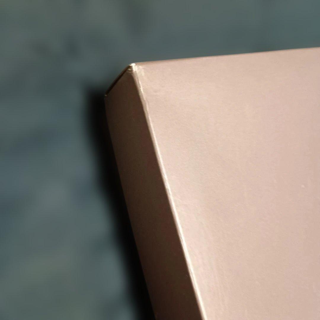 新品・未使用・箱付き★CELINE　セリーヌ★ロゴ入りフラットシーツ2枚セット