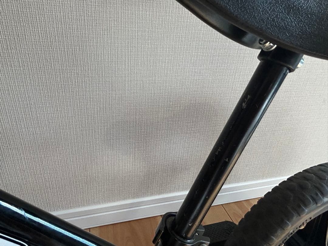 【室内保管】STRIDER 12インチ