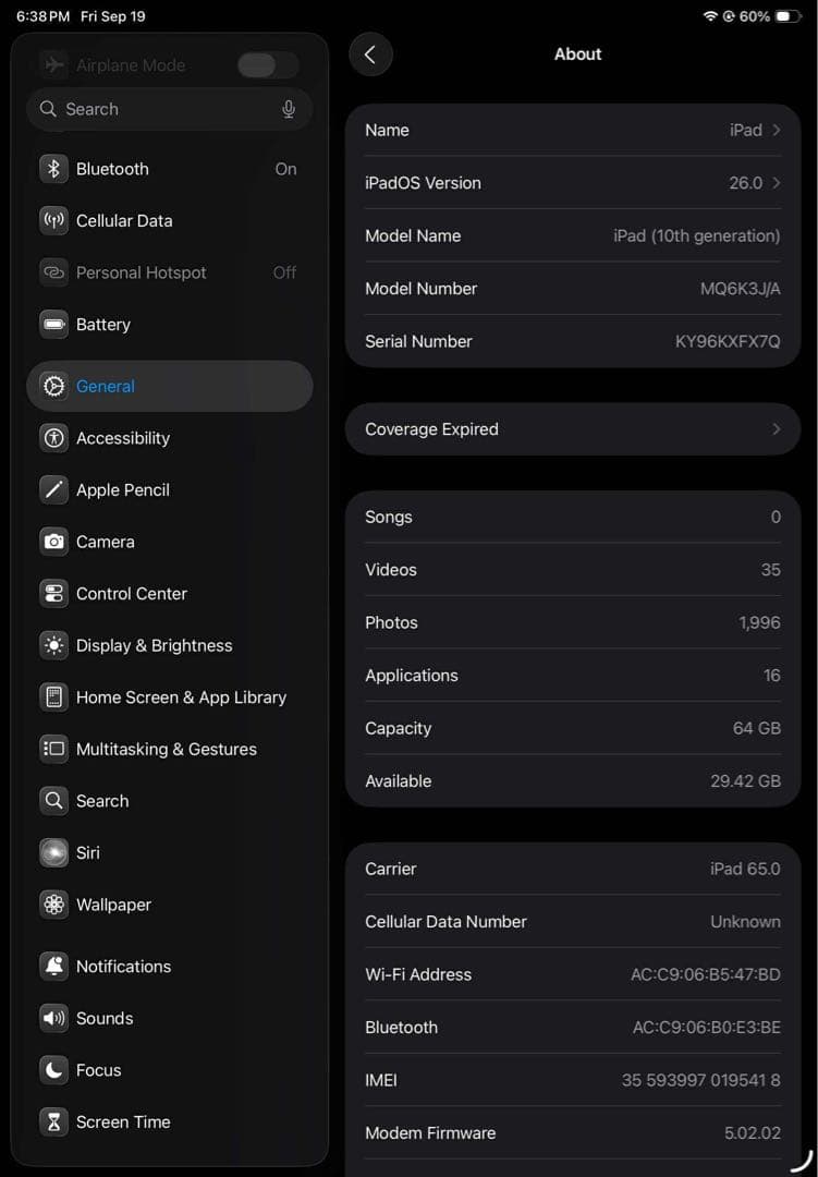 Apple iPad 本体 青