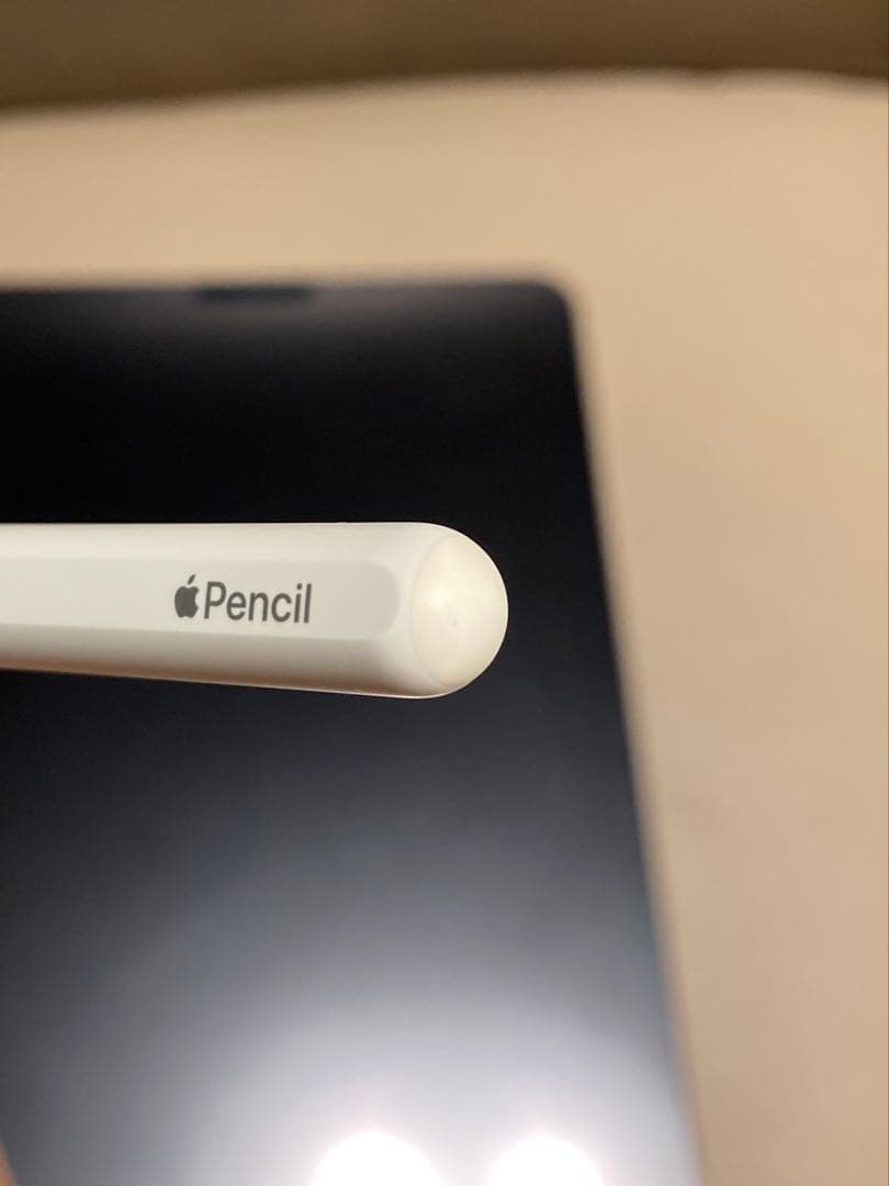 【極美品】iPad Pro 11 1世代 Wi-Fi 256GB グレイ　ペン付