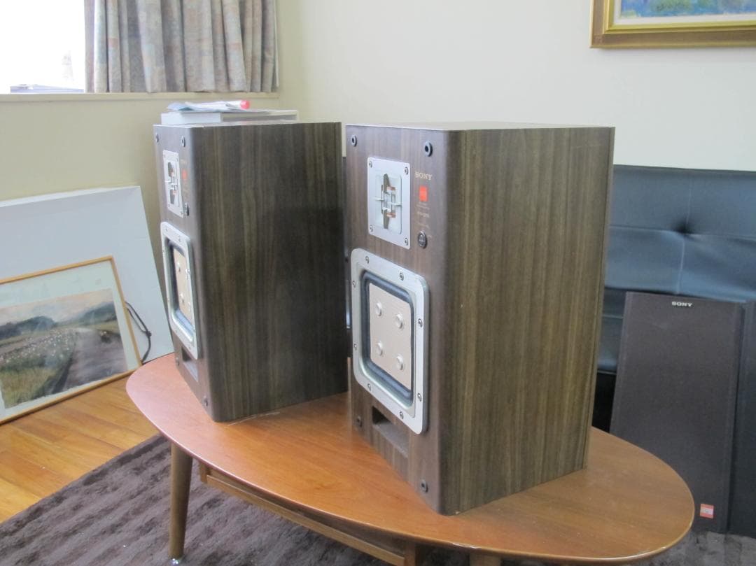 SONY APM-22ES 希少 Rosewood 連番 メンテナンス済み