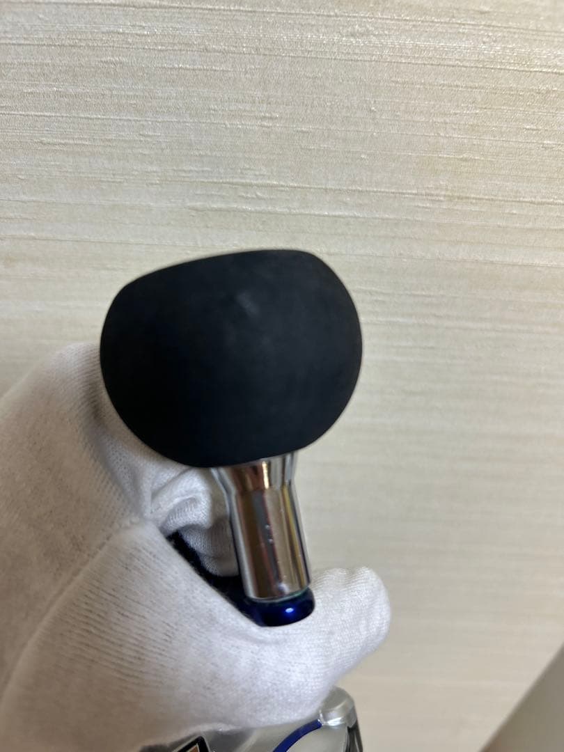 Daiwa SEABORG 300MJ シーボーグ