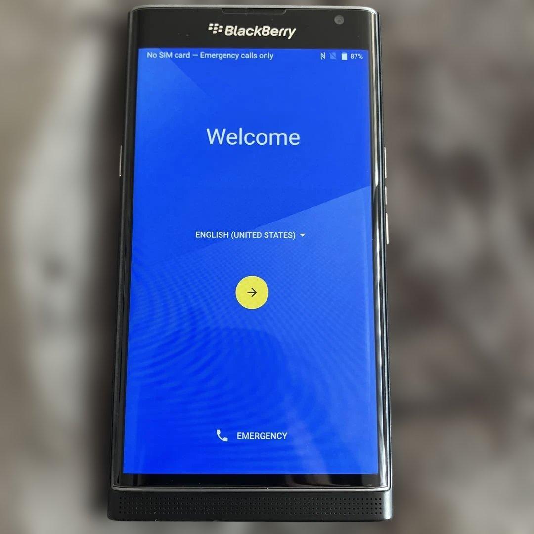 BlackBerry PRIV（STV100-3）グローバル版