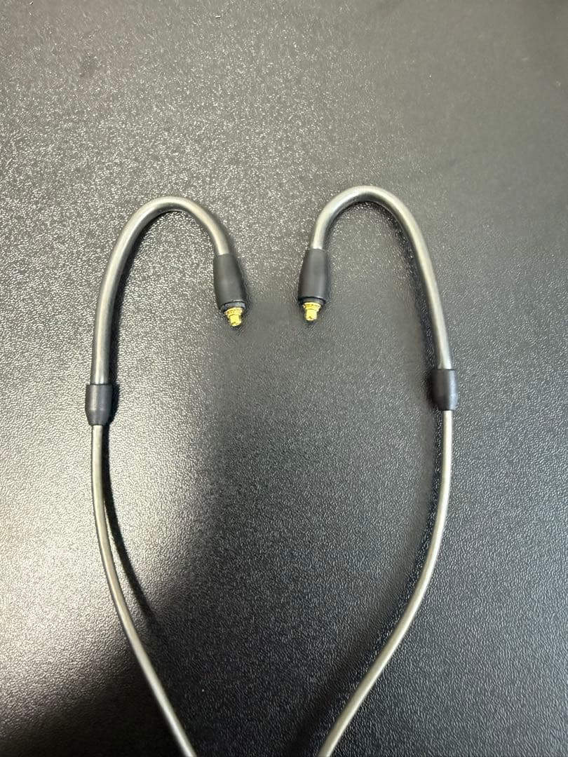 イヤホン SENNHEISER IE300