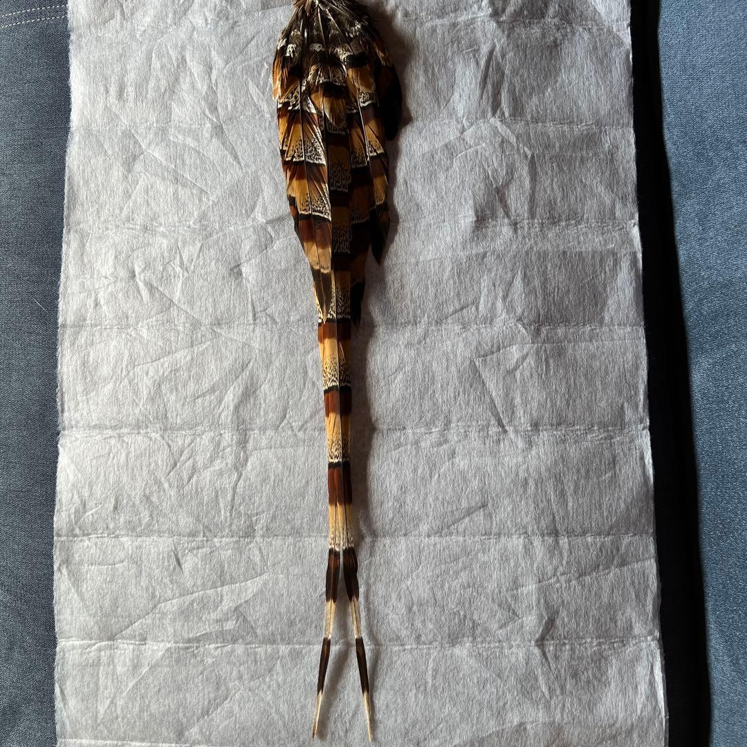 ヤマドリの羽　尾羽、翼左右の3点セット