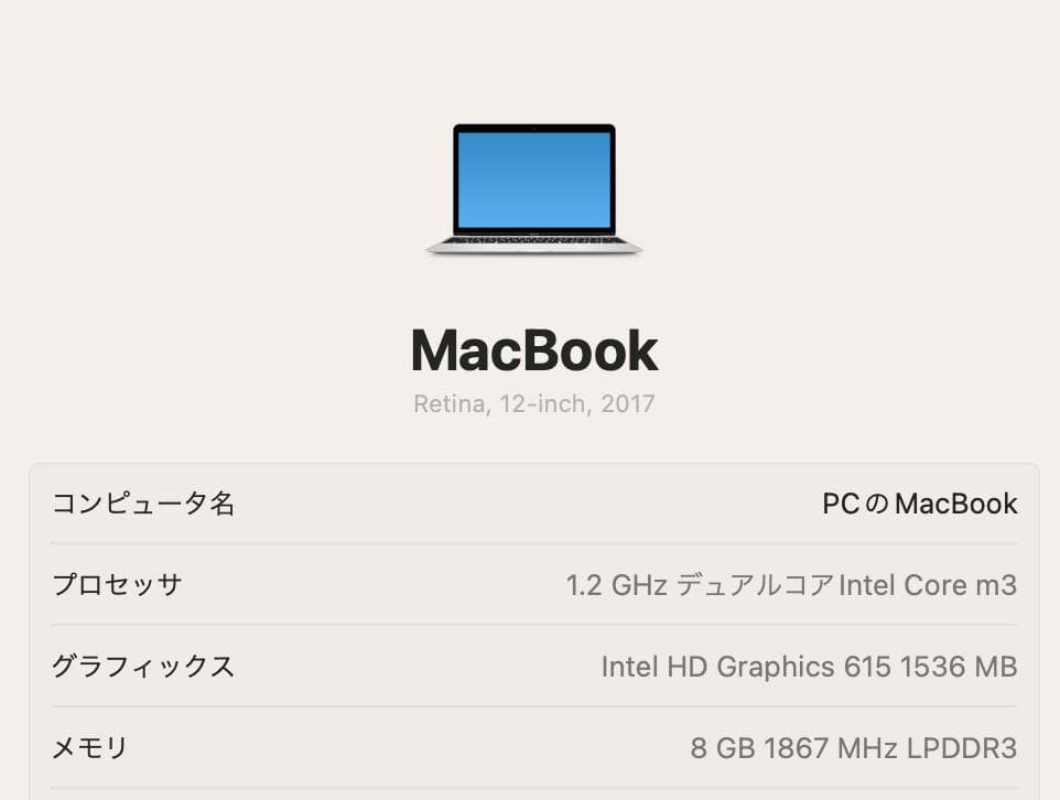 美品 MacBook 12インチ 2017 /m3/8GB/256GB No2