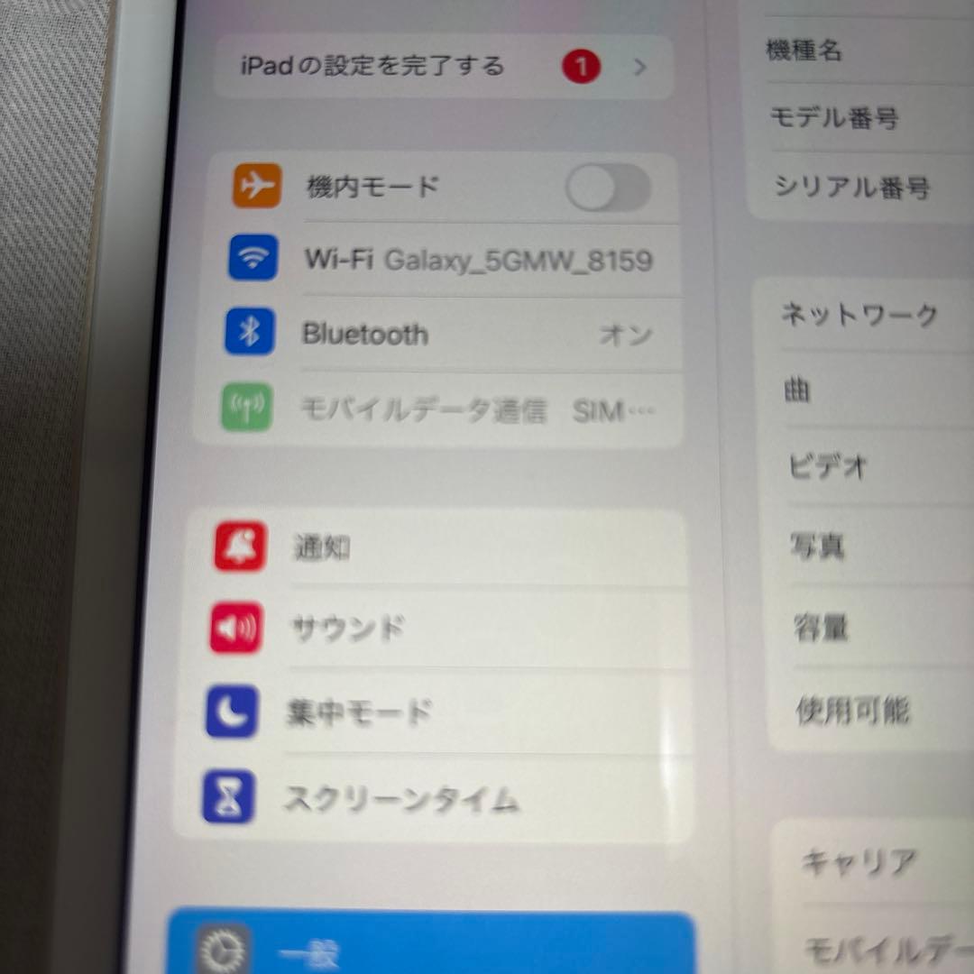 iPad mini 4 128g Cellular SIMフリー 最終お値下げ