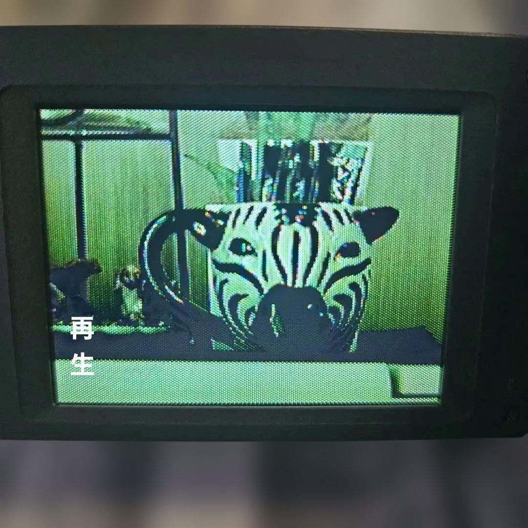 SONY ソニー 8mmビデオカメラ CCD-TRV80 録画、再生OK