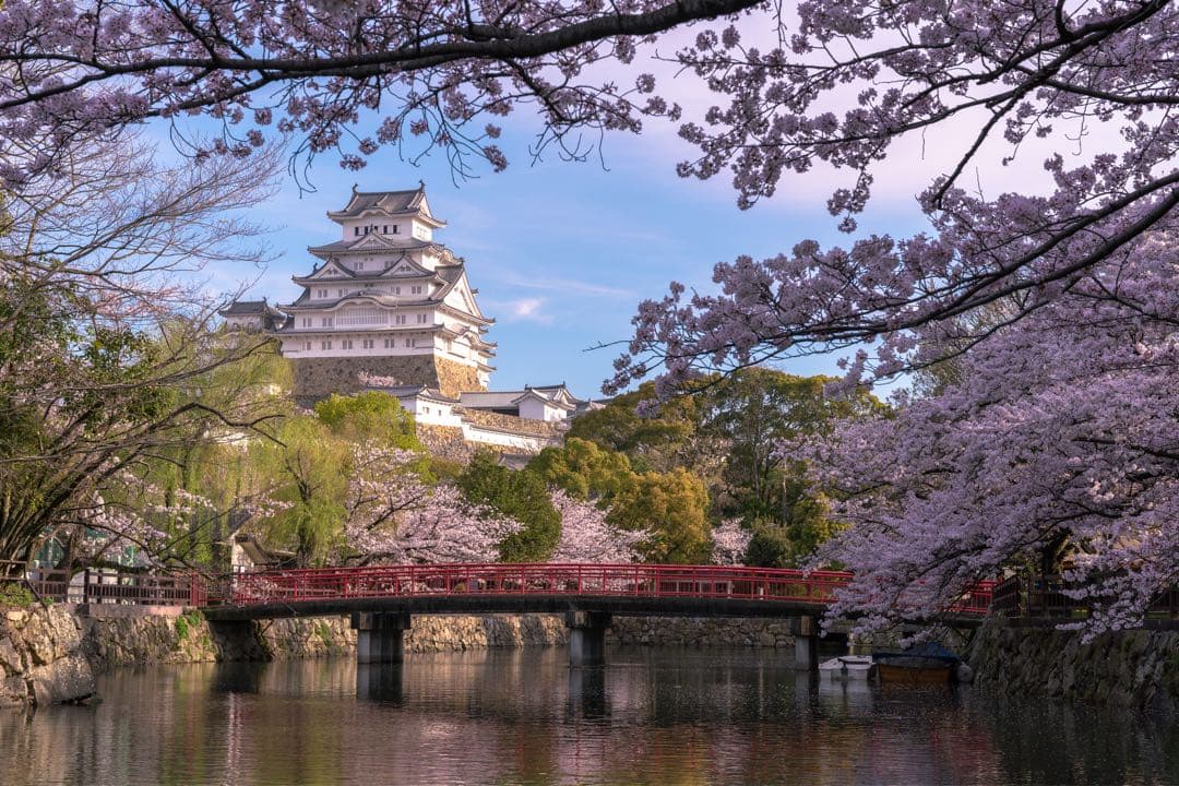 SIGMA 24-70mm F2.8 (eマウント用)