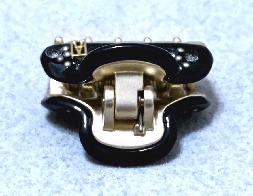 ALEXANDRE DE PARIS　キラキラ　ヘアクリップ　38586