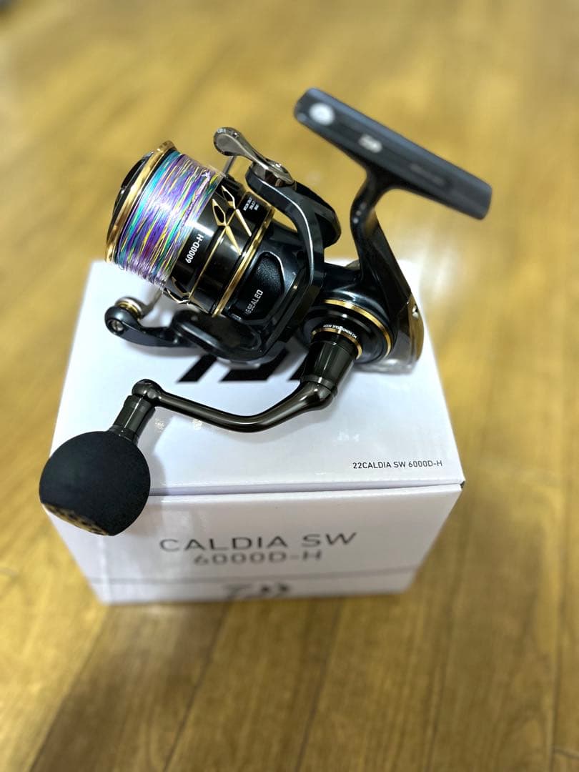 CALDIA SW 6000D-H （PE3号付き）