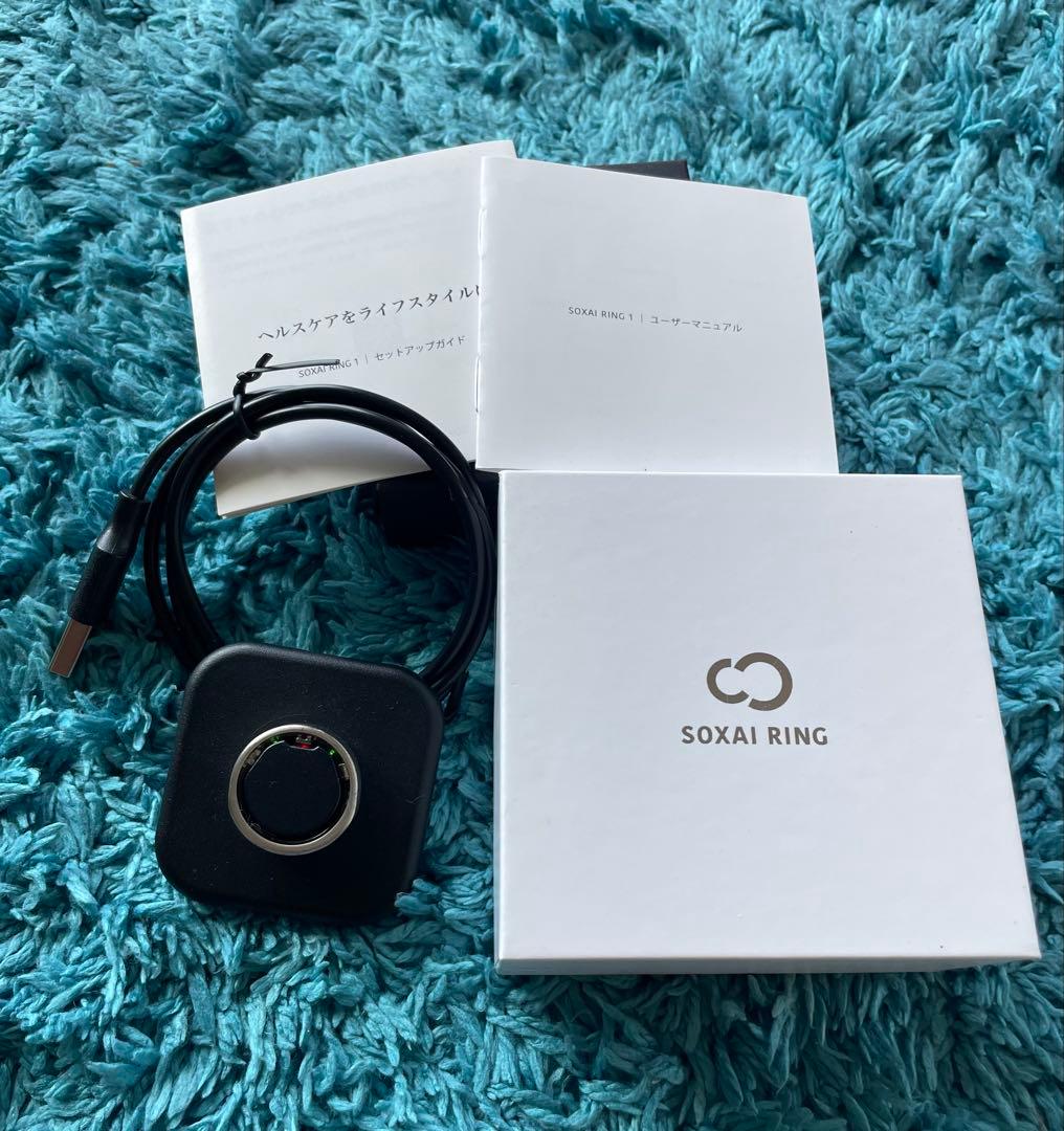 SOXAI RING 1.0 16号 マットシルバー ソクサイリング
