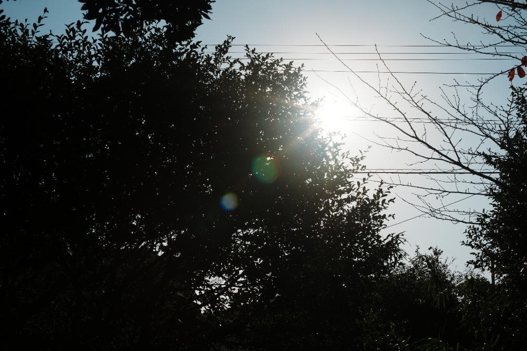 【整備＆テスト済】Nikon Ai Nikkor 50mm F1.4 994