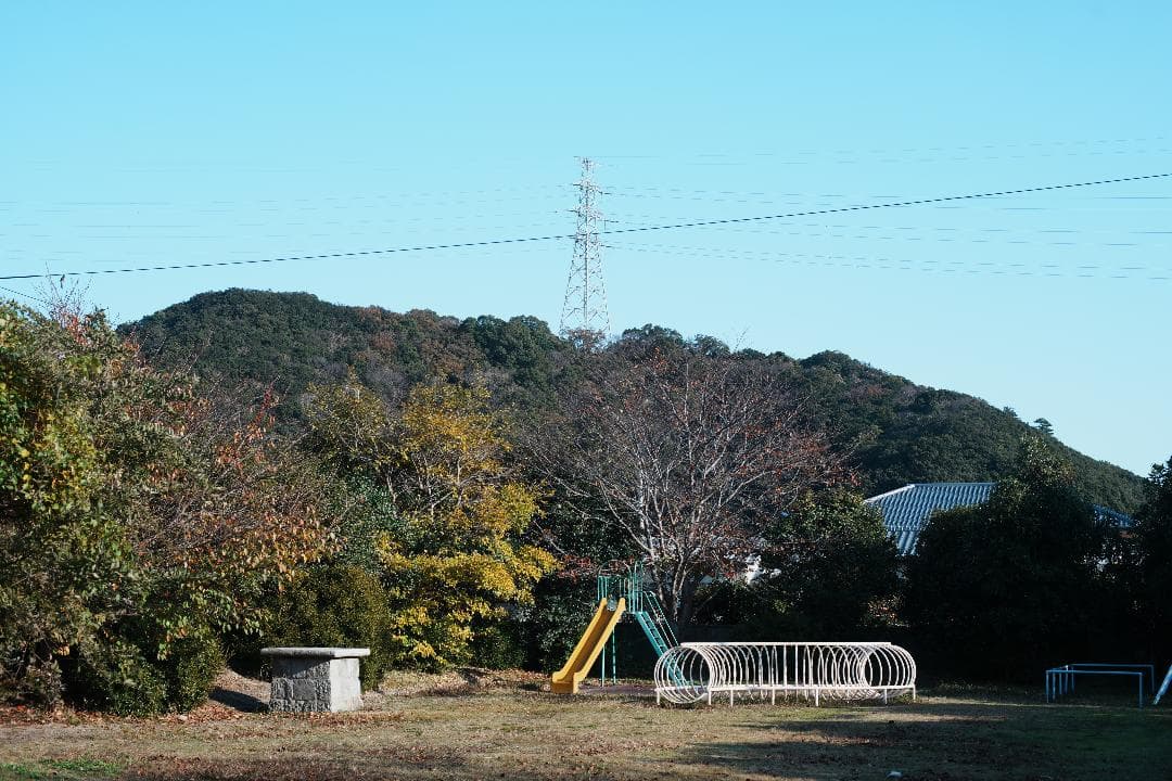 【整備＆テスト済】Nikon Ai Nikkor 50mm F1.4 994