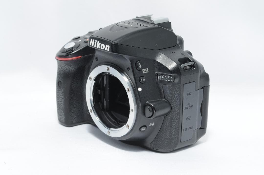 家族も風景写真も綺麗に❗️Nikon D5300✨ダブルレンズ スマホ転送