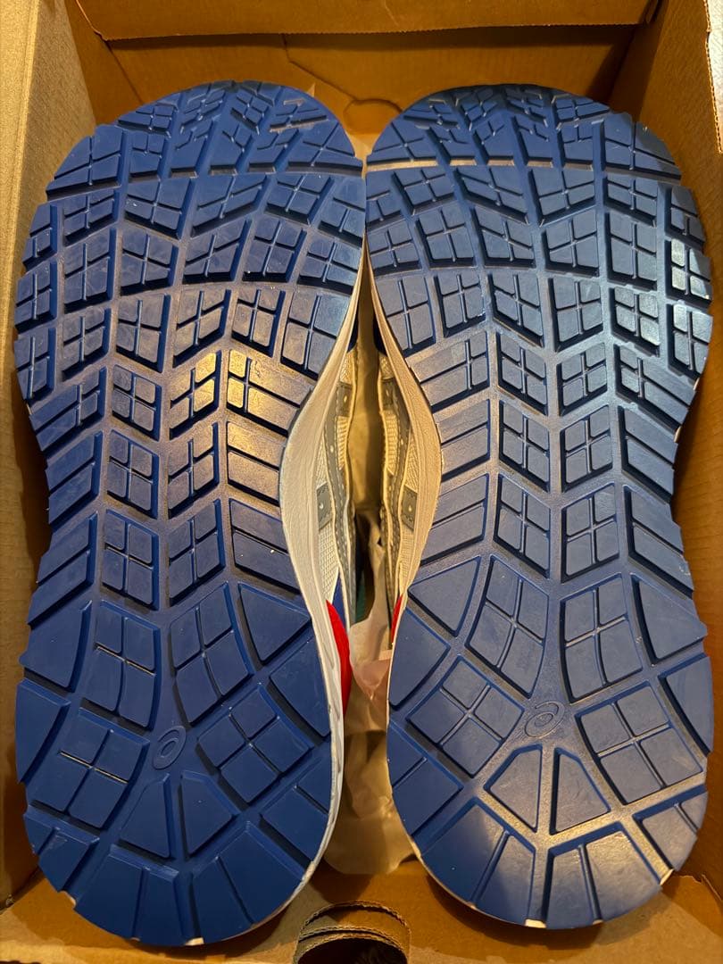 ASICS WINJOB CP209 BOA LC 27.0 限定品