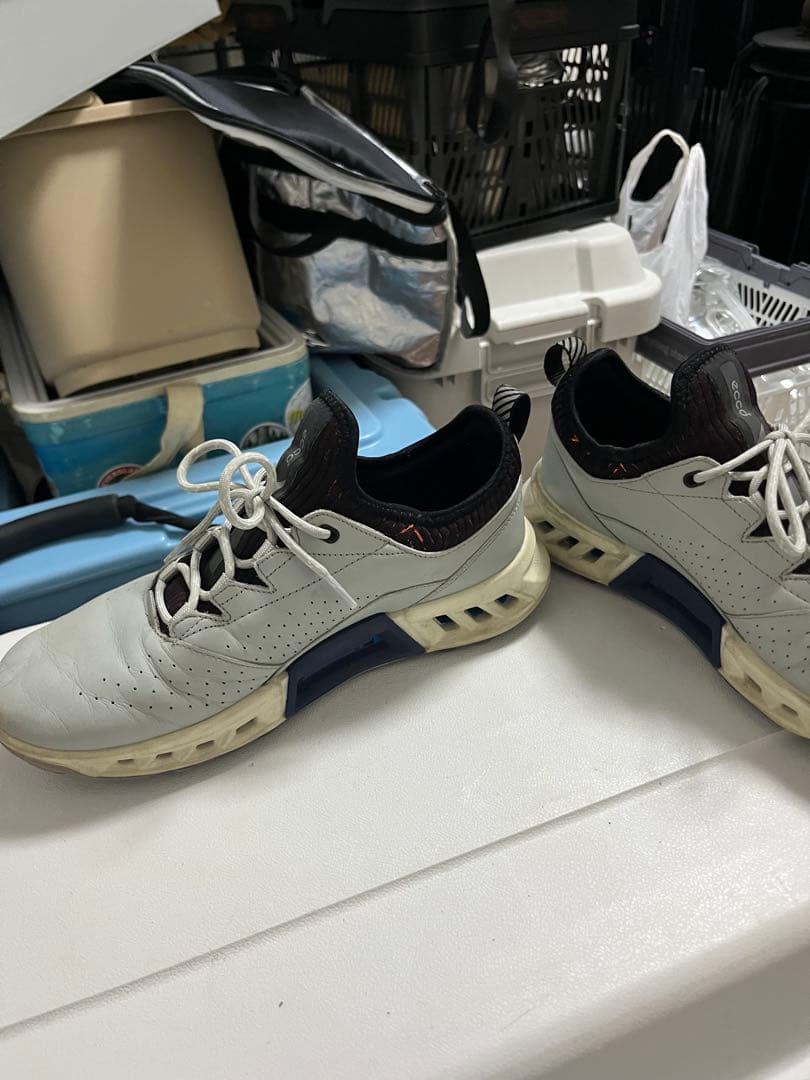 ECCO Golf Biom C4 Men エコーバイオムＣ４　39 25センチ