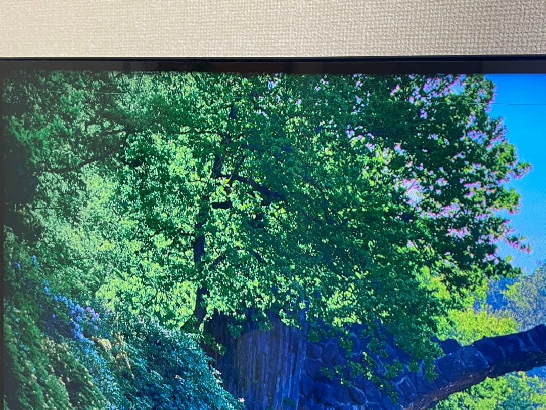 2019年製 ハイセンス 43インチ 液晶テレビ 43E6800