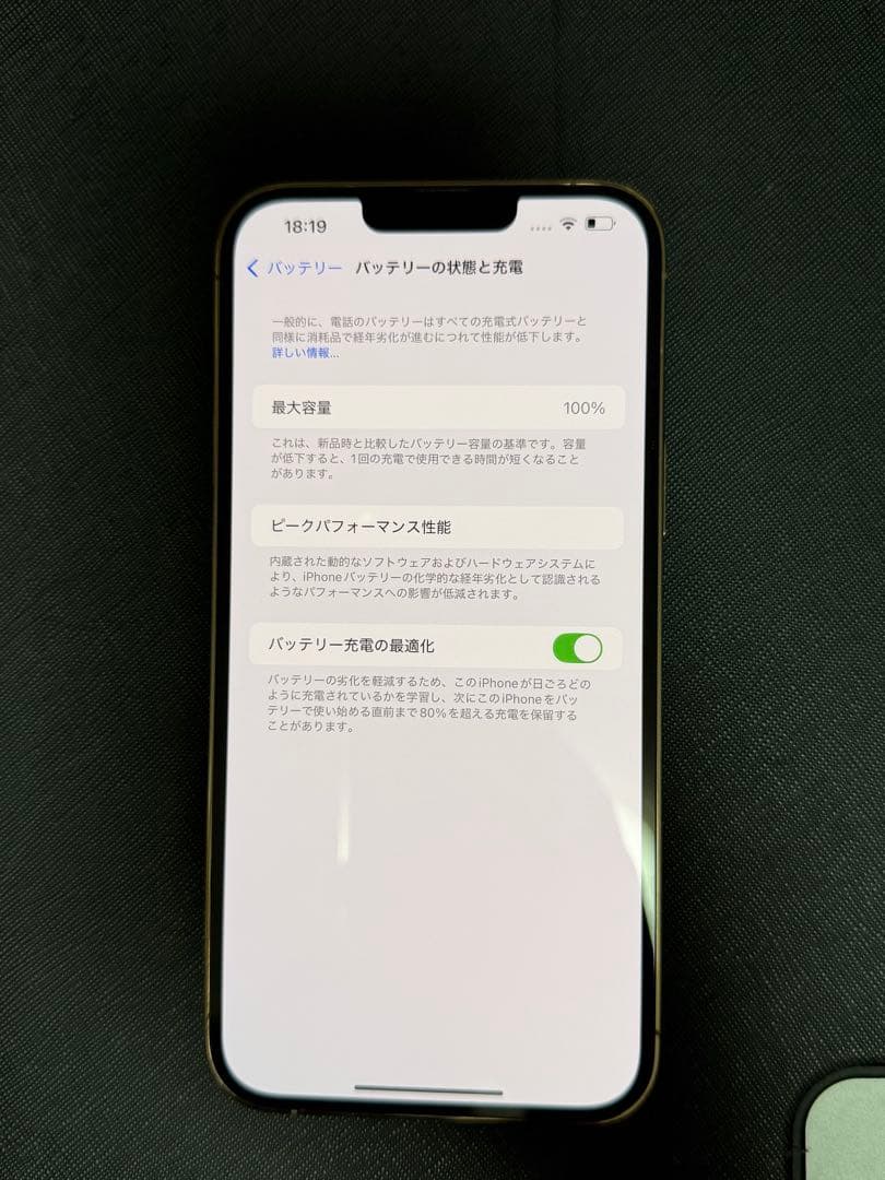 【バッテリー100% 背面ガラス新品】iPhone13ProMax 256GB