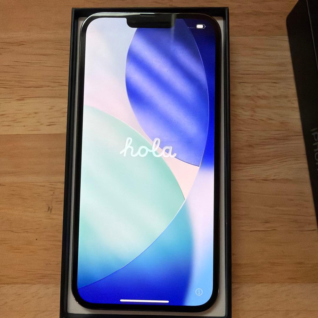 iPhone 13 Pro Max 256 GB シエラブルー　ケースおまけ付き