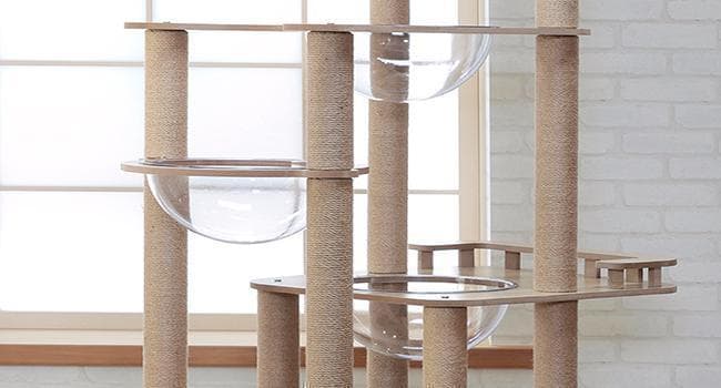 木製 キャットタワー 宇宙船カプセル 大型猫 据え置き型 多頭飼い おしゃれ