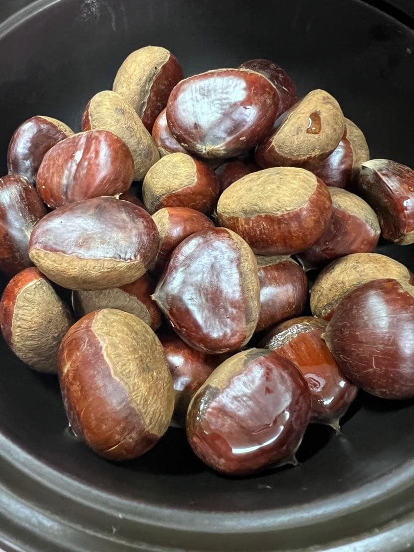 【新品】マイクロ波対策！電子レンジ専用Sサイズ！少量の調理向き⭐︎お惣菜温めにも！