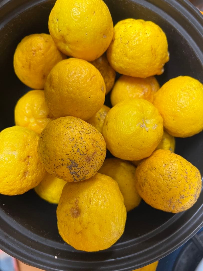 【新品】マイクロ波対策！電子レンジ専用Sサイズ！少量の調理向き⭐︎お惣菜温めにも！