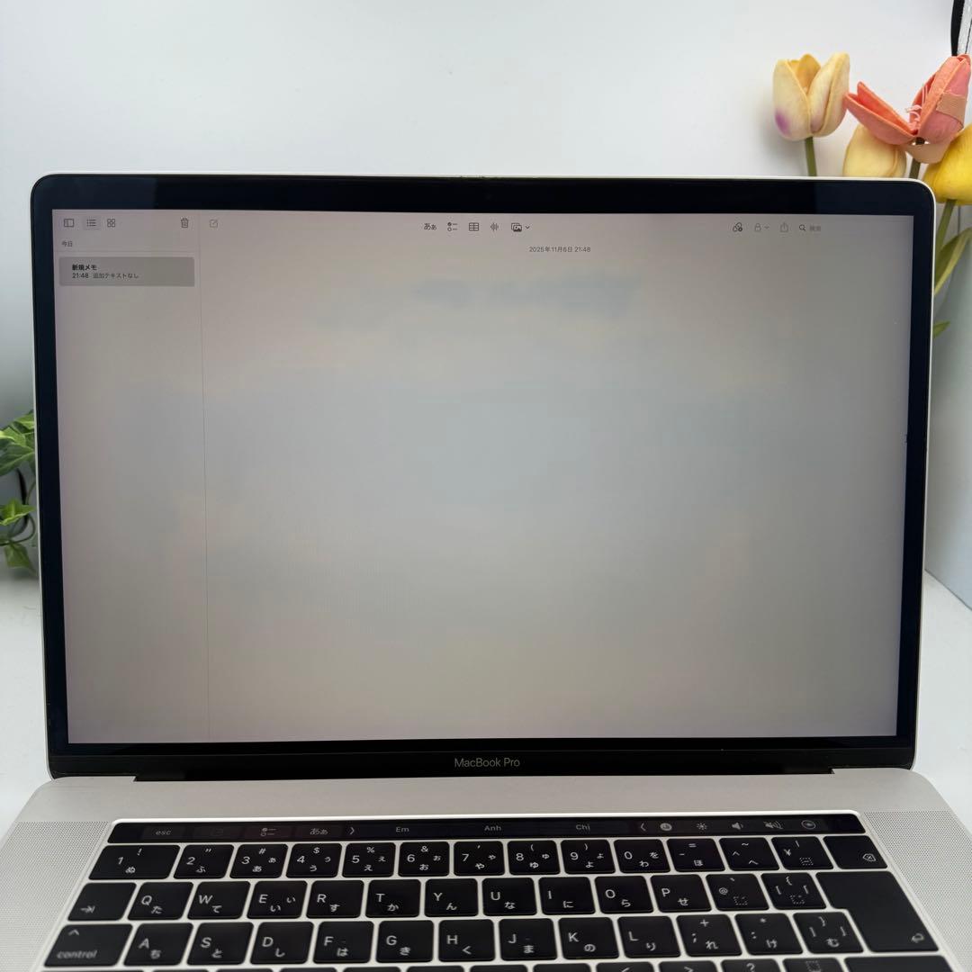 MacBook Pro 15インチ 2018 Ci9/32GB/1TB GPU