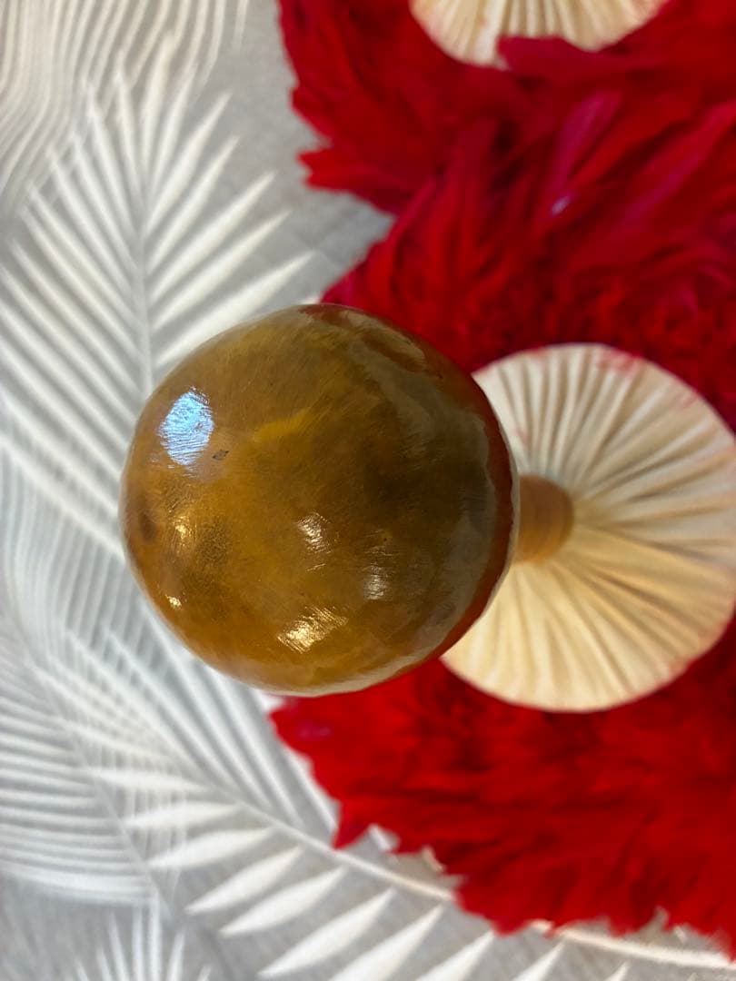 フラダンス　ウリウリ 一体型　カバー付　2個セット