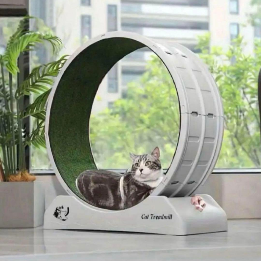 キャットローラー 運動不足 キャットホイール 猫 ペット ダイエットグレー 犬