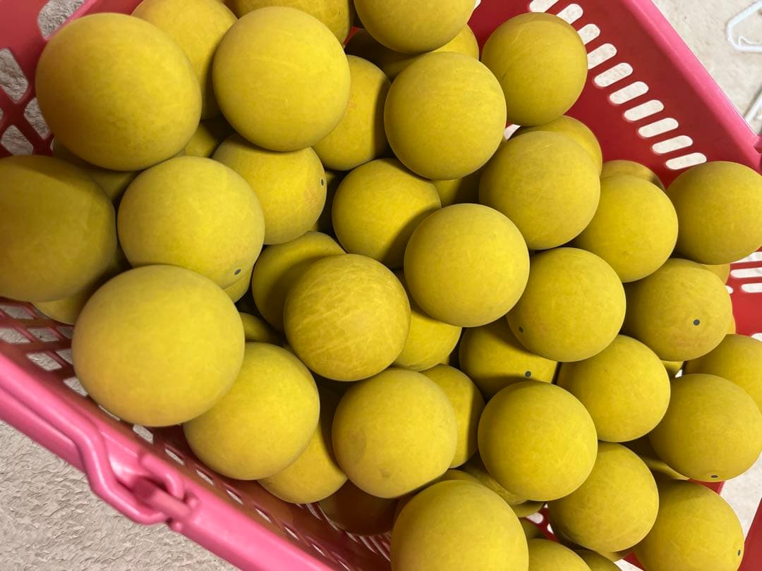 ケンコーボール公認球　120球程度