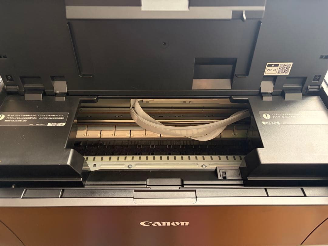 Canon PIXUS PRO-10S インクジェットプリンター※ジャンク品