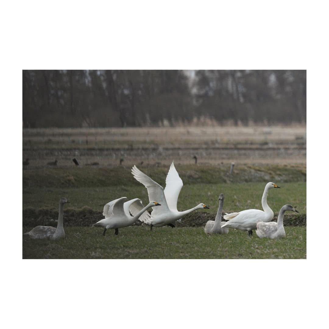 Nikon D500 Ai NIKKOR ED 400mm F3.5s テレコン