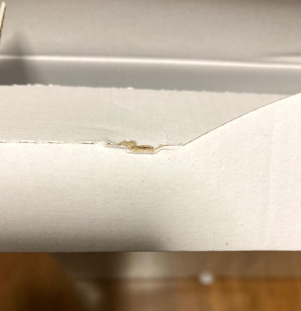 ロイヤルコペンハーゲン ホワイトフルーテッド27cmプレート x 2枚（未使用）