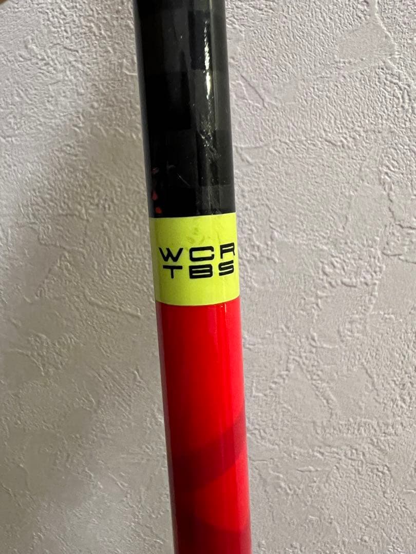 スキー LEKI WCR TBS GS 3D 120cm